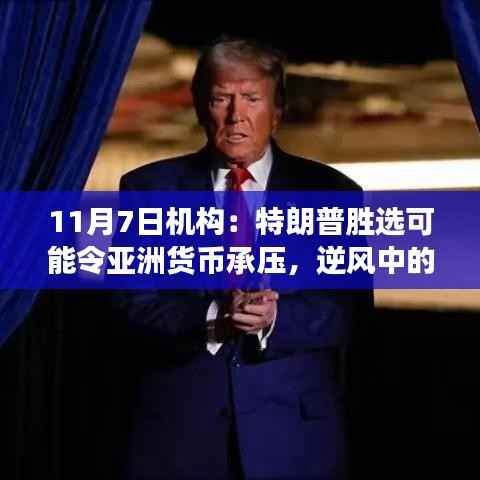 特朗普胜选背后的亚洲货币风云,逆风中的机遇与挑战