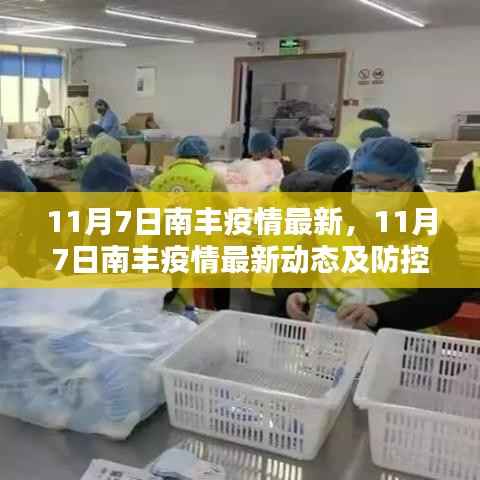 11月7日南丰疫情最新动态,防控措施分析与更新
