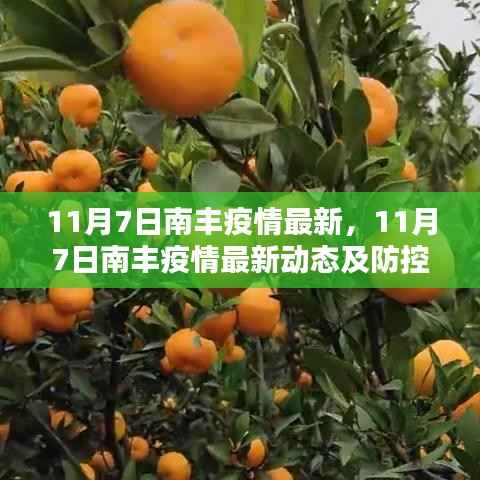 11月7日南丰疫情最新动态,防控措施分析与更新