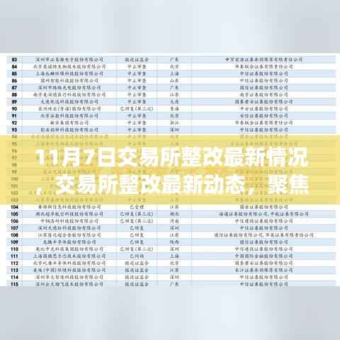 聚焦交易所整改最新动态,11月7日更新情况深度解析