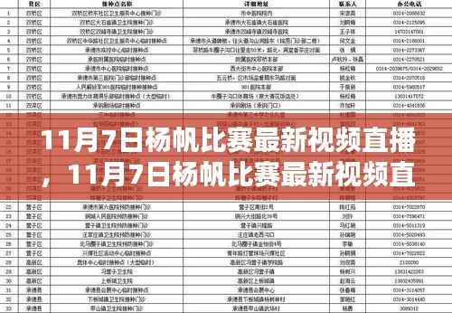 11月7日杨帆比赛最新视频直播,全面评测与介绍