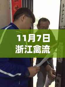 浙江禽流感最新动态揭秘,11月7日最新消息更新