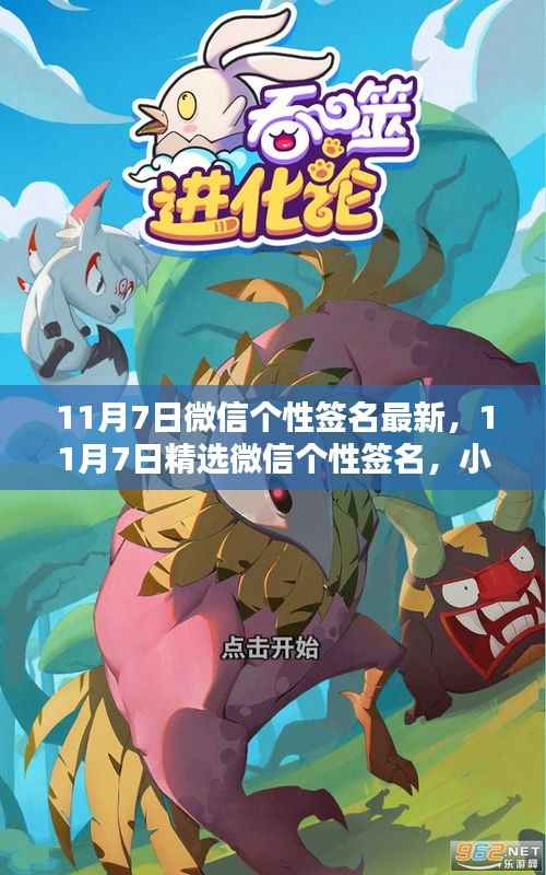 小红书风格独领风骚,最新精选微信个性签名出炉,11月7日风尚之选