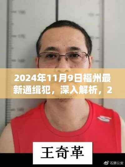 福州最新通缉犯深度解析与全面评测(2024年11月9日)