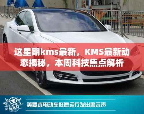 本周KMS最新动态揭秘,科技焦点解析