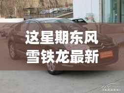 东风雪铁龙新款车型亮相,引领时尚风潮,成为本周焦点