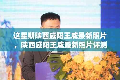 陕西咸阳王威最新照片评测,特性、使用体验与目标用户分析揭秘