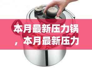 本月最新压力锅,高效烹饪的必备神器,轻松应对繁忙厨房生活!