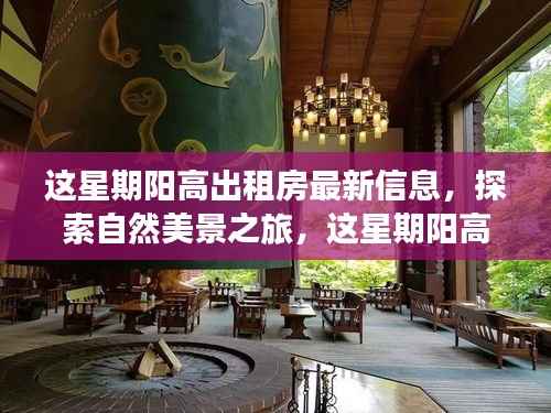 本周阳高出租房最新信息,探索自然美景之旅,寻找内心的宁静居所