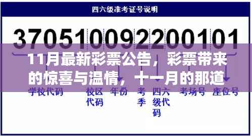 11月彩票公告揭秘,惊喜与温情共筑彩虹桥之梦