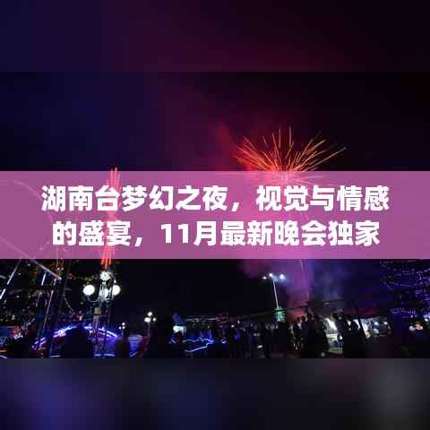 湖南台梦幻之夜,视觉与情感的盛宴,11月最新晚会独家呈现