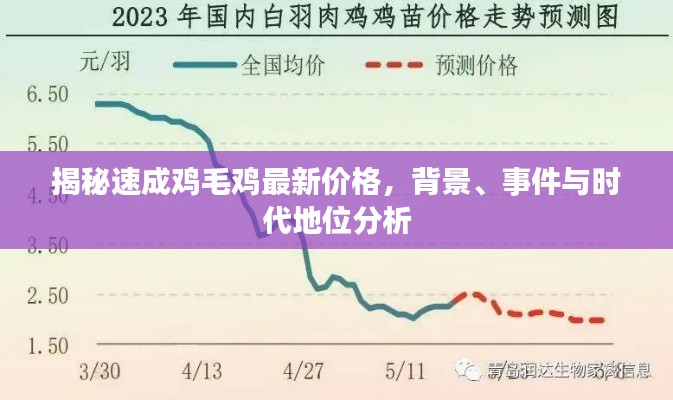 揭秘速成鸡毛鸡最新价格,背景、事件与时代地位分析