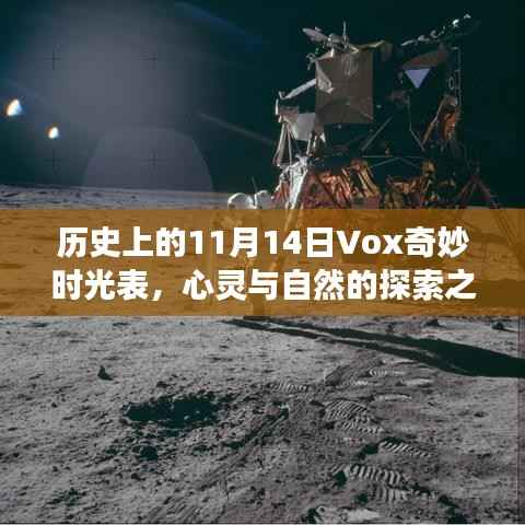 历史上的11月14日Vox奇妙时光表,心灵与自然的探索之旅