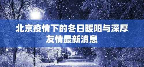 北京疫情下的冬日暖阳与深厚友情最新消息