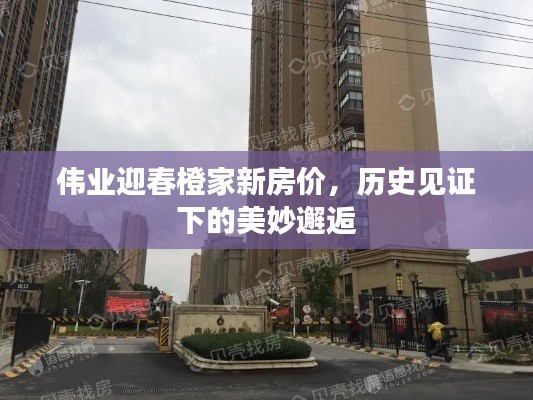 伟业迎春橙家新房价,历史见证下的美妙邂逅
