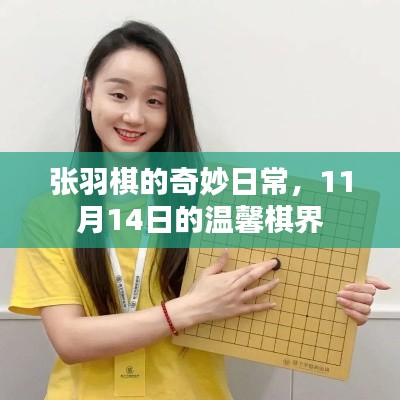 张羽棋的奇妙日常,11月14日的温馨棋界