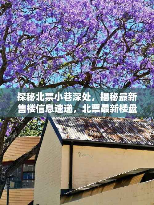 探秘北票小巷深处,揭秘最新售楼信息速递,北票最新楼盘动态解析(北票最新售楼信息速递)