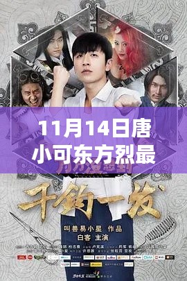 11月14日唐小可东方烈最新章节及其深度解析