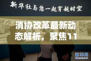 消协改革最新动态解析,聚焦11月14日新消息深度阐述