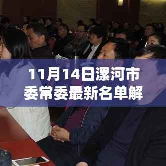 11月14日漯河市委常委最新名单解析,特性、用户体验与竞品对比