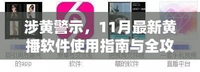 涉黄警示,11月最新黄播软件使用指南与全攻略,谨慎观看