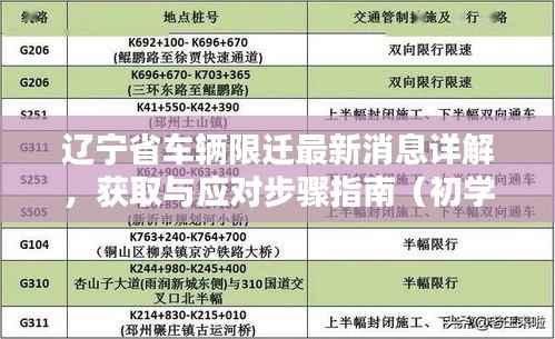 辽宁省车辆限迁最新消息详解,获取与应对步骤指南(初学者与进阶用户必备)