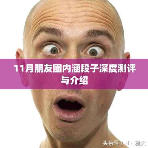 11月朋友圈内涵段子深度测评与介绍