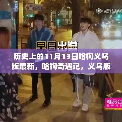 哈狗奇遇记,义乌版自然美景探索之旅(1月13日最新更新)