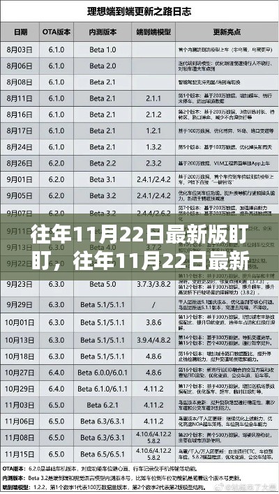 往年11月22日最新版盯盯,深度评测与详细介绍