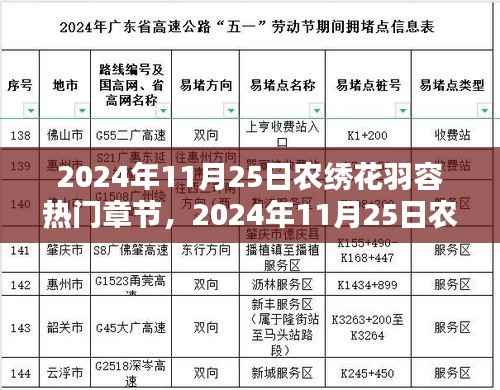 探寻古老技艺与现代魅力的融合,农绣花羽容热门章节揭晓(2024年11月25日最新)