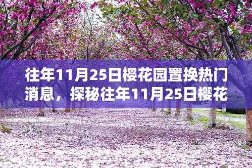 探秘樱花园的神秘置换热潮,特色小店的秘密与往年11月25日的热门消息揭秘