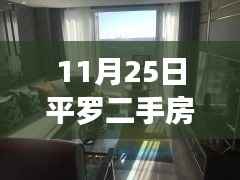 揭秘平罗二手房最新动态,科技引领智能房产交易革新!