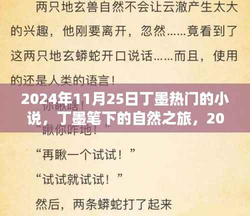丁墨笔下的自然之旅,2024年11月25日的探险之旅