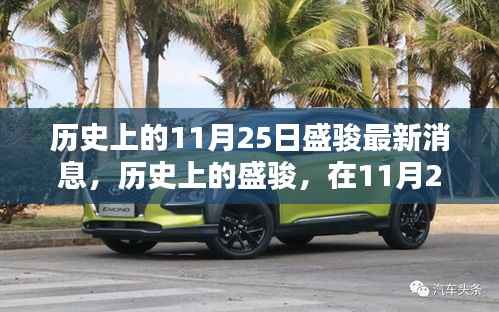 项目介绍 第522页