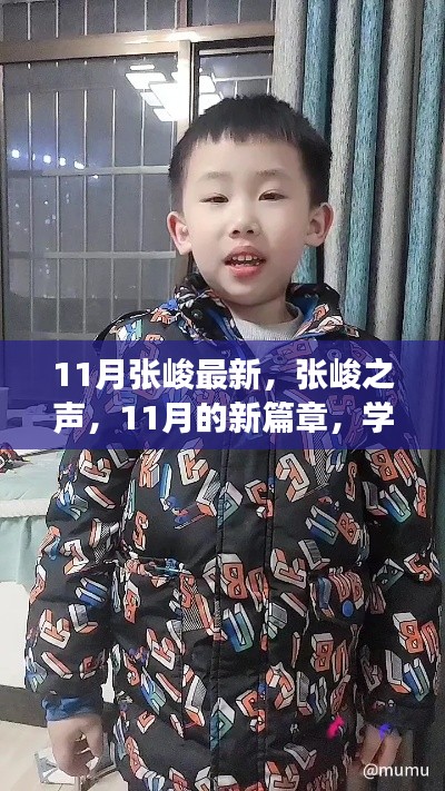 张峻之声,自信与成就之旅的十一月新篇章