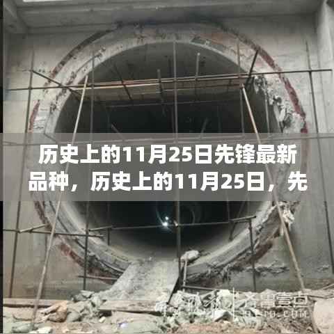 历史上的先锋种子破土而出,变革与自信的塑造之路(11月25日最新品种)