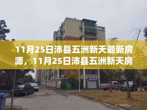 11月25日沛县五洲新天房源速递与深度解析