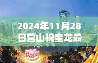 揭秘,营山祝奎龙在最新动态揭晓,2024年11月28日最新消息速递