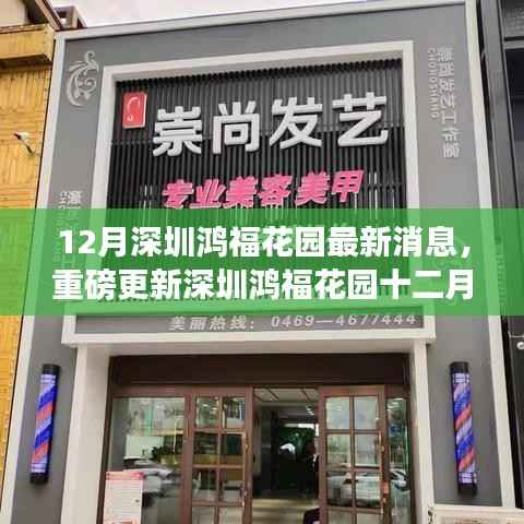 深圳鸿福花园十二月最新动态揭秘,重磅更新消息🔥