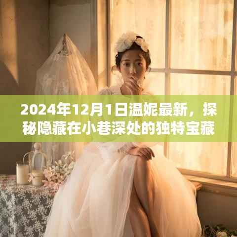 探秘2024年温妮最新宝藏,小巷深处的独特小店