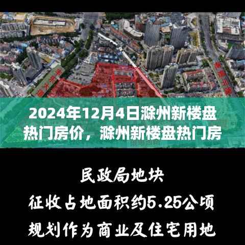 2024年12月4日滁州新楼盘热门房价深度观察及评测