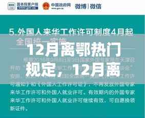 12月离鄂热门规定,12月离鄂热门规定详解,新规出炉,你准备好了吗?