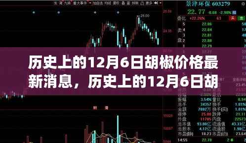 历史上的12月6日胡椒价格动态及最新消息全解析,入门指南