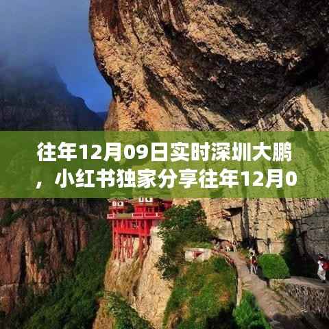 独家分享,深圳大鹏与大自然的邂逅之旅——往年12月09日的实时记录🌅