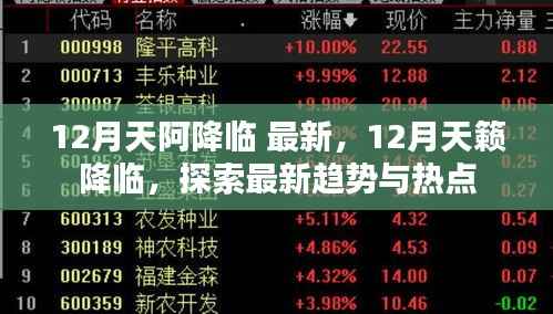 12月天籁降临,最新趋势与热点探索