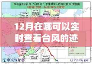 十二月追寻台风脚步,实时探秘自然秘境的诗意之旅