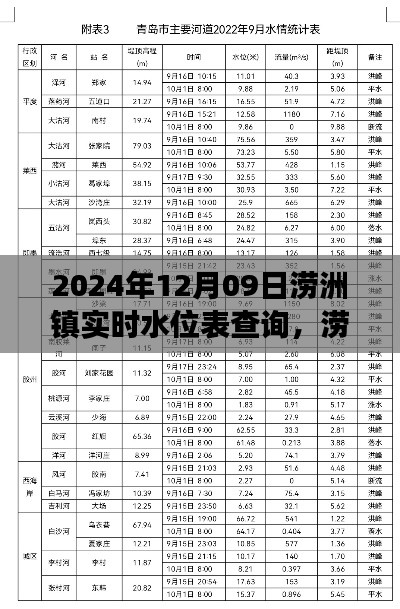 涝洲镇实时水位表查询背后的争议与重要性,深度解读