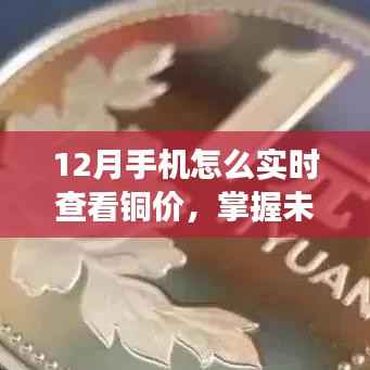 12月实时铜价监控,掌握未来,拥抱变化!