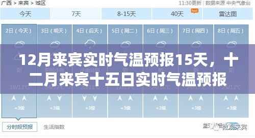 气候变迁下的微观洞察,十二月来宾实时气温预报15天深度解析