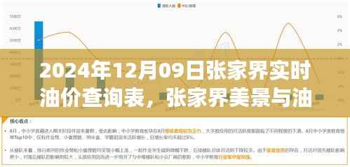 张家界油价查询表与美景探索,寻找内心平静的油价之旅